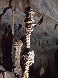 00395-1699 Popcorn Stalagmites in Wind Cave